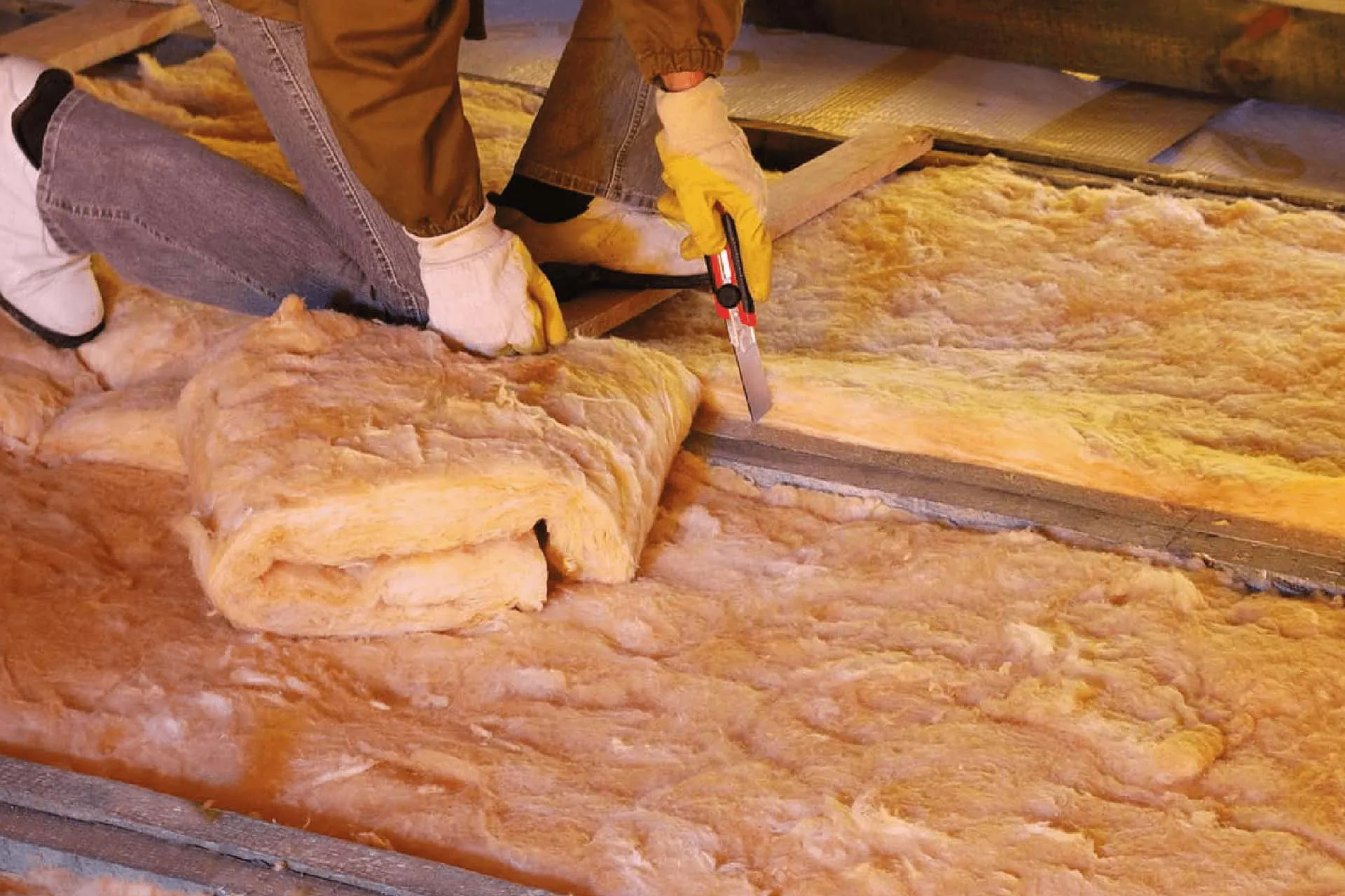 Insulation Removal (8)